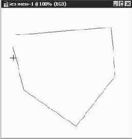 ���������� ������������� ����� (Polygon Lasso)