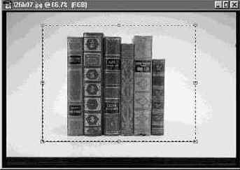 ������� ��������� ����������������� (Free Transform)