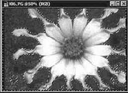 ���������� ��������� ������� (Magic Wand): ��������� �������� �� �������� ����� ��������