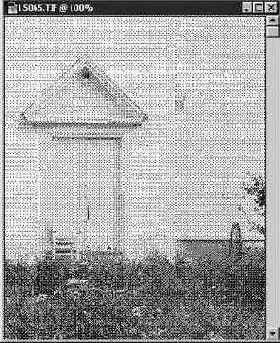 ������ ������� (Bitmap ) � �������� ������ (Grayscale)