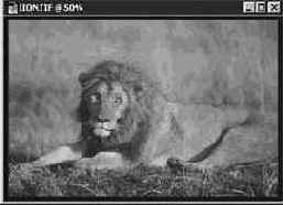 �������������� �� �������� ������ � �������� ������ � �������