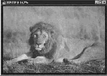 �������������� �� �������� ������ � �������� ������ � �������