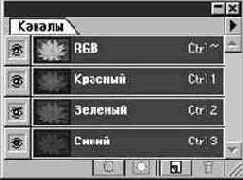 ����� �������� � ������� �����������