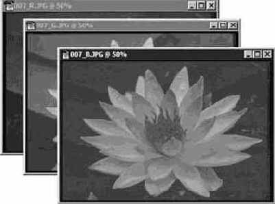 ���������� �������