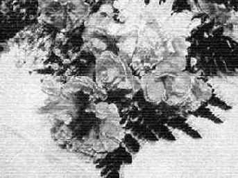 ���������� ����������� �������