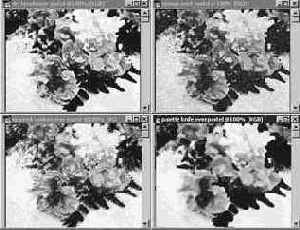 �������������� ��������