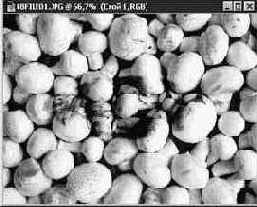 ����� ������� � �����