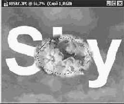 ����-�����