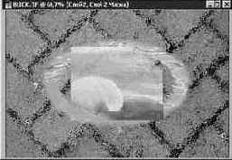 �������� ��������