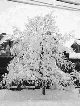 ������������� � �����