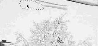 ������������� � �����