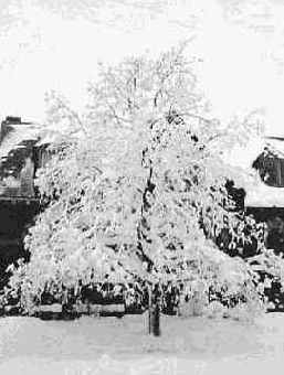 ������������� � �����