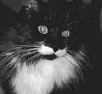 ���������� ������� 