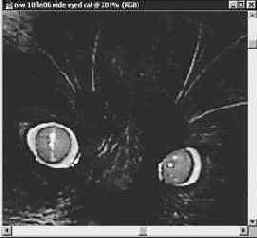 ���������� ������� 