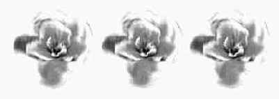 ������ ���������� �������� (Radial Blur)