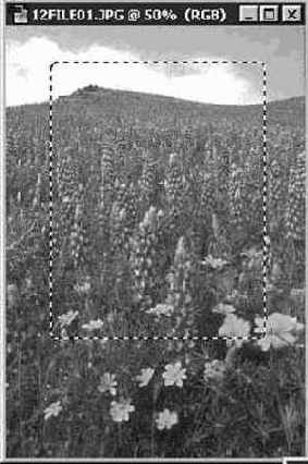 ���������� �������� � ��������� ������ �����������