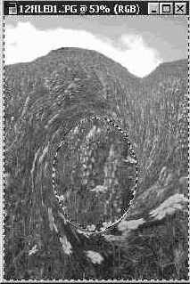 ���������� �������� � ��������� ������ �����������