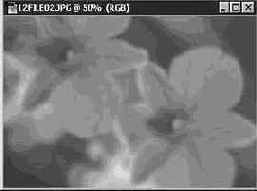 ������ �������� �� ������ (Gaussian Blur)