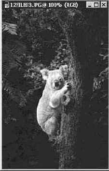 ������� ��������� ��������