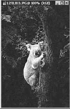 ������� ��������� ��������