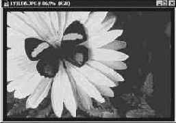 ������� ����������