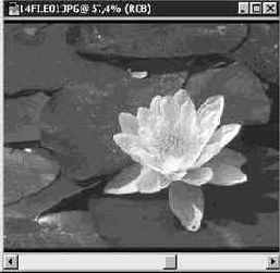 ������ GIF (Graphics Interchange Format)