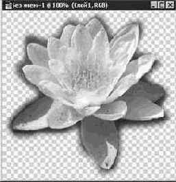 ������ GIF (Graphics Interchange Format)