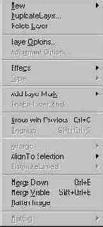 ���� Layer (����)