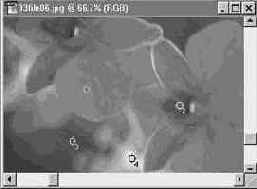 ������������� ����������� Color Sampler (������� �����)