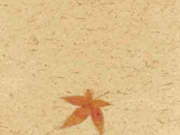 ����������� �� ���������� � ������� JPEG