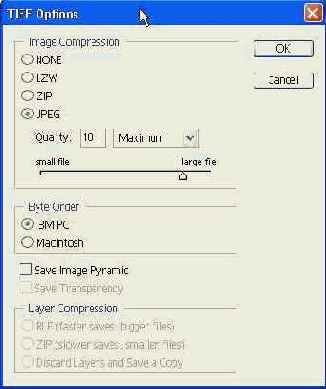 ���� ���������� TIFF����� � ����������� ������