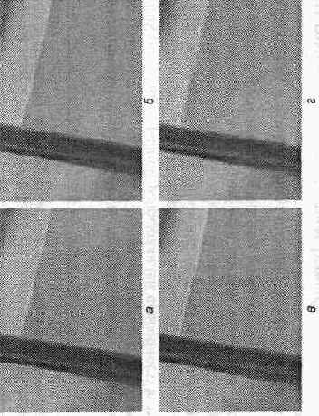 ������ JPEG