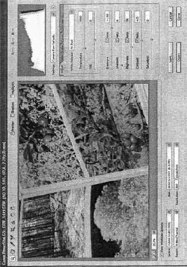 ������ RAW