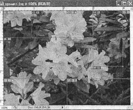 ��������� �����������