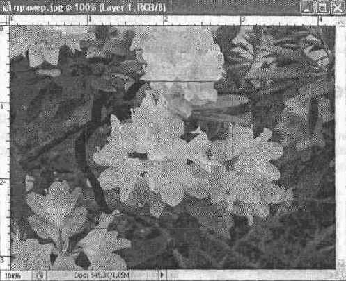 ������� ����