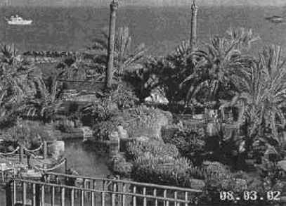 ������������ ������