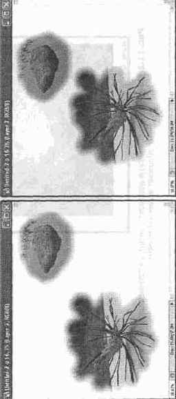 ���� ����������� � �� �������������