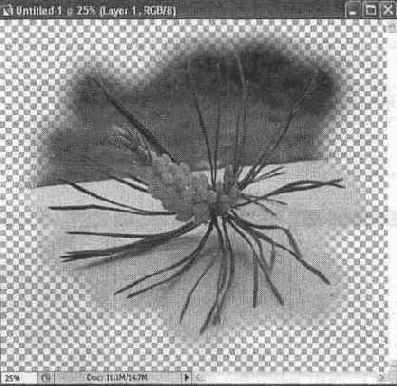 ��������� ����� � �� �������������