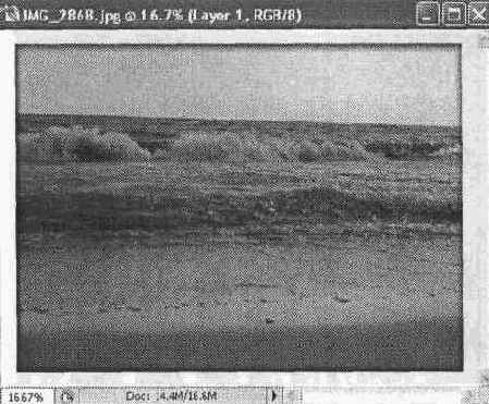 ������������� �������� ����