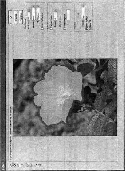 ������������� ������� Extract