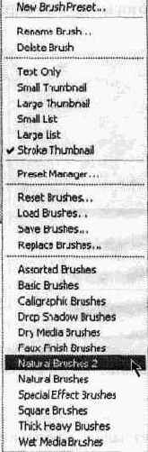 ���������� Brush