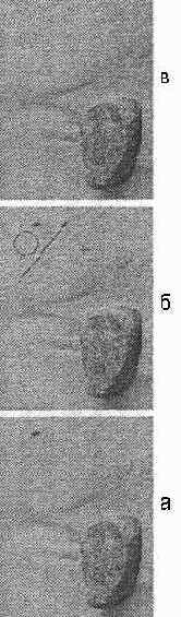 ���������� Healing Brush