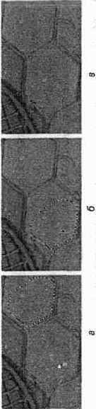 ���������� Patch