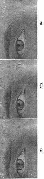 ���������� Spot Healing Brush