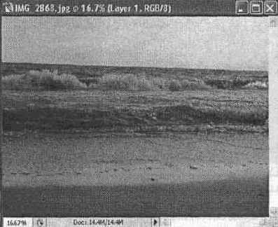 ������������� �������� ����