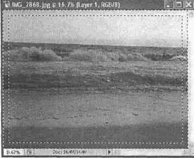 ������������� �������� ����