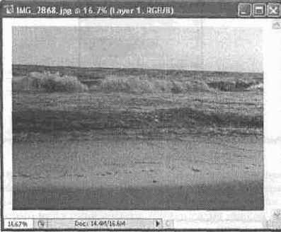 ������������� �������� ����