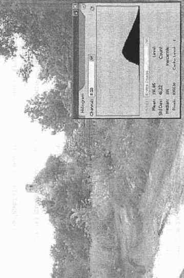 ������ Histogram