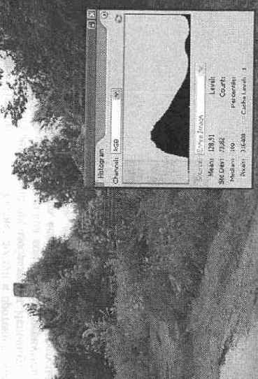 ������ Histogram