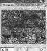 ������ Navigator